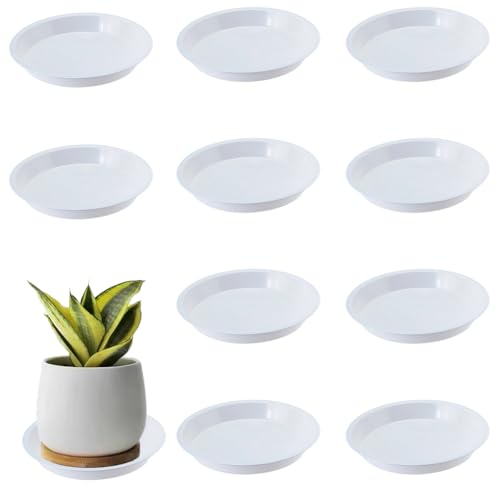 BEAMARKER 10 Soucoupe pour Pot de Fleurs en Plastique Blanc de 15.8cm Plateau Rond Durable Récupérateur d'eau Accessoire Décoratif pour Intérieur...
