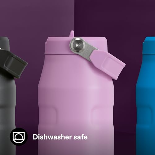 Image of Stanley 1913 Flip Straw Sports Water Bottle 1.06L - Lilac