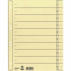 Esselte 100 x Trennblätter A4 180g/qm chamois