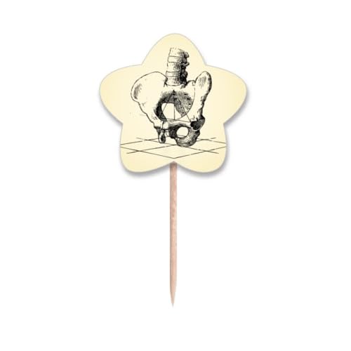 Croquis cure-dents drapeaux hip spine squelette pour buffets de thèses et soirées médicales