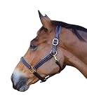 Tack Shack of Ocala Custom Padded Leather Halter with Customized Engraved Name Plate Option Horse Ha