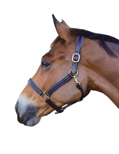 Tack Shack Of Ocala Custom Padded Leather Halter With Customized Engraved Name Plate Option Horse Halter (Horse) #TOP6