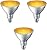 PHILIPS PAR38 LED Flood Yellow 3-Pack