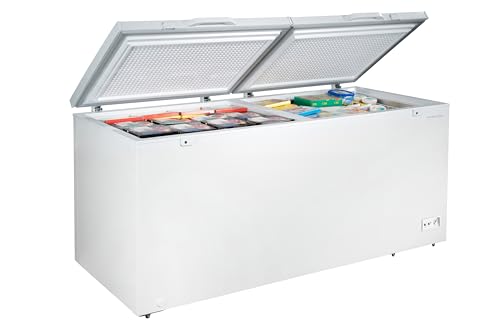 Walk-in freezer cold storage large