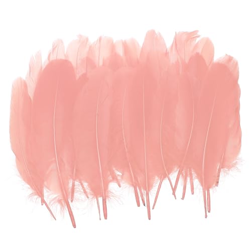 Plumes d'oie pour attrape-rêves PATIKIL : résolvez le manque de volume de vos DIY