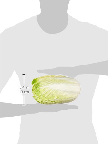 Organic Napa Cabbage, One Head