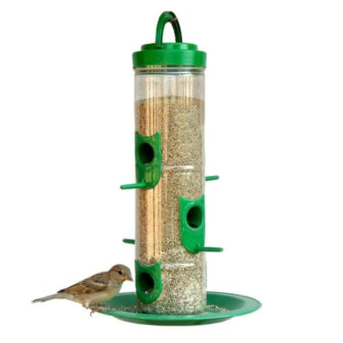 Image of Hanging Food Feeder for Balcony, Large Bird Feeder for Outdoor & Garden | 900 Capacity I Premium Hard Plastic Weatherproof (Pack of 1 Pcs)