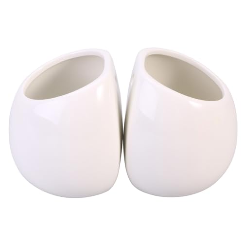 Anneome 2 Pezzi Vasi da Parete in Ceramica Bianca senza Foro per Piante Succulente e Piante Appese Fioriera Rotonda Sospesa per Interni ed Esterni Contenitori Decorativi Versatili per Casa