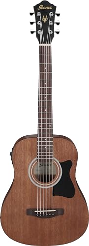 Ibanez Acoustic guitar / V44MINIEOPN Standard
