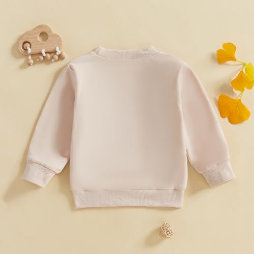 Toddler Baby Boy Girl Clothes Long Sleeve Crew Neck Letters Rugby Pullover Sweatshirt Tops for Inafnt Boys Girls3