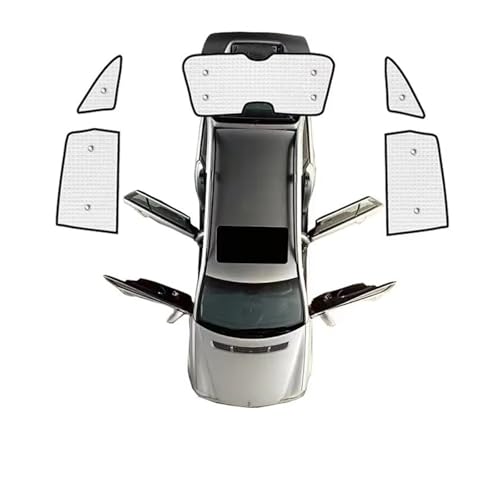 Visière Fenêtre pour CR-V anti chaleur protection UV arrière