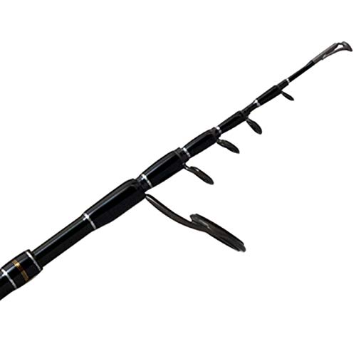 パームス(Palms) エゲリアネイティブパフォーマンス ETNS-411UL-T5 2枚目