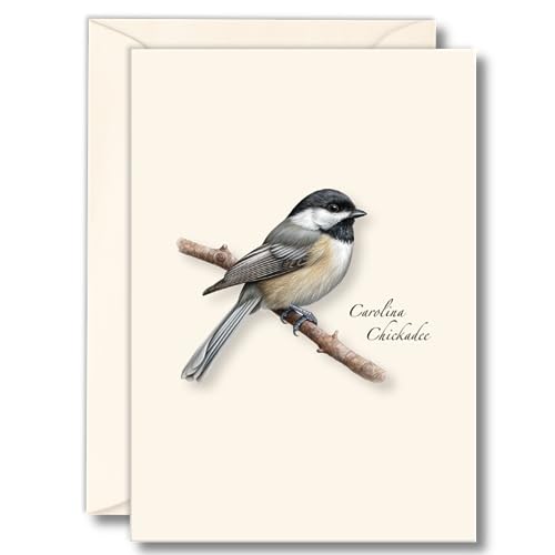 Image of Earth Sky + Water - Carolina Chickadee Notecard Set - 8 Blank Cards with Envelopes