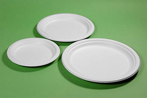 Miniatura 4 de Ecorigin Platos Desechables Y Ecológicos De Caña De Azúcar. Pack De 100 Unidades Y 22 Cm. Compostables Y Biodegradables.