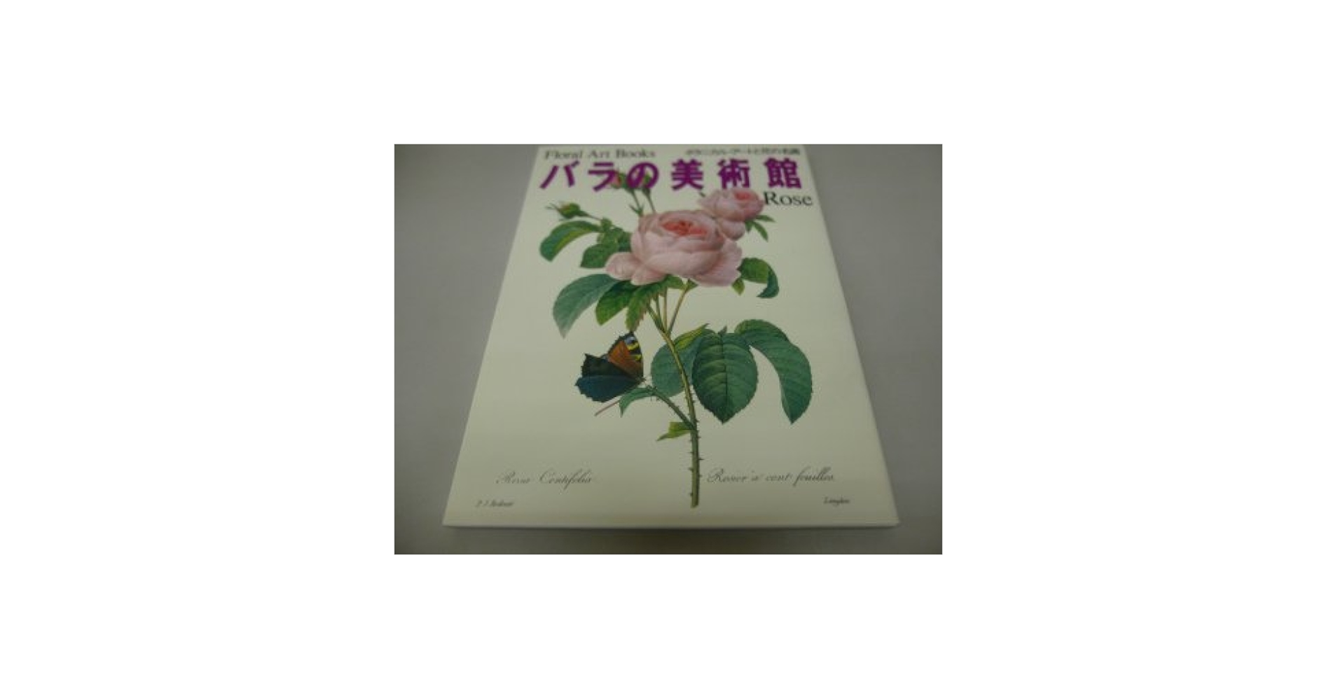 美術書 アート本 バラ売り WHAT MUSEUM、2024年10月4日（金）より奥中章人「Synesthesia