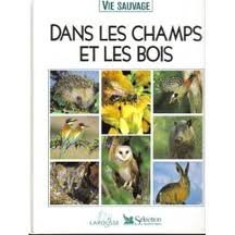 Dans les champs et les bois