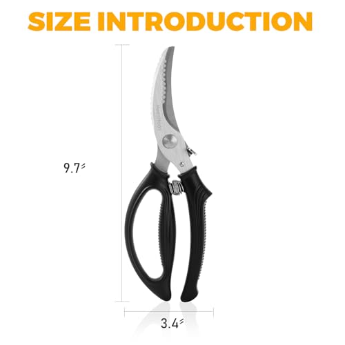La Mejor Recopilación de Tijeras para aves que puedes comprar esta semana. 6 Imagen adicional