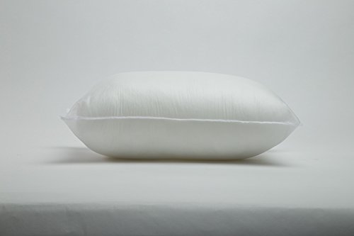 Foamily Throw Pillow Insert 12 x 20 inch (Set of 2) Hypoallergenic 100% Virgin Fiber Lumbar Bed, Sofa, Couch Decorative Indoor Pillows Made in USA