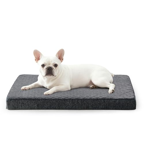 JOEJOY Orthopädisches Hundebett Kleine Hunde, Hundekissen Waschbar Flauschig Hundematte, Hundematratze für Kleine Hunde, rutschfeste Unterseite, 61x43x9cm