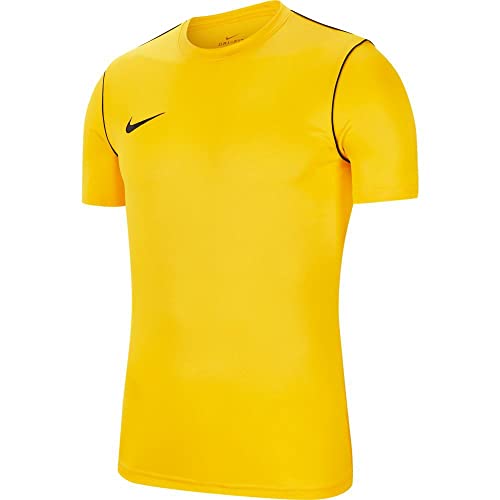 NIKE M Nk Dry Park20 Top SS...