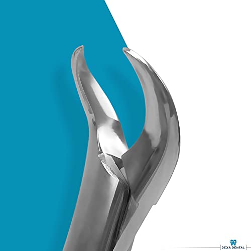 DEXA DENTAL Heavy Duty Dental Extracting Forceps # 150# 151# 23, Apical Forceps, Cowhorn Forceps, Lower Molars, Atraumair - 3 Pcs