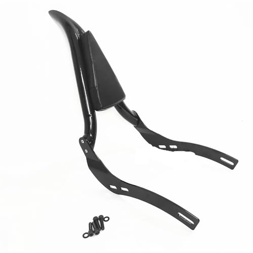 Repose-passager moto avec coussin arrière ergonomique pour Rogue - 4