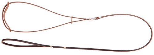 Dingo Anello del guinzaglio, 8 mm x 150 cm, Marrone