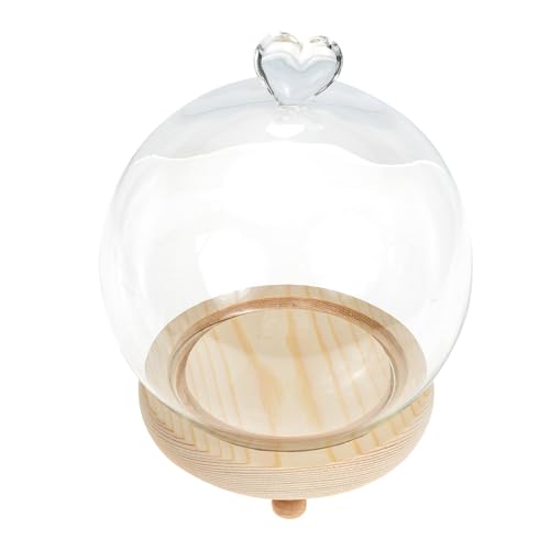 Copertura per fiori eterni: questo è un regalo adatto per amici, compagni di classe, persone care durante le vacanze, cupola in vetro trasparente