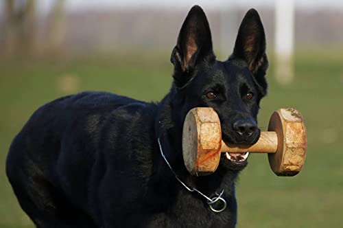 Dingo Gear Apportierholz verdrehte für IPO EXTRA Gewicht 650 Gramm Ausbildung Apportieren Hundetraining Obedience Handarbeit Apport Holz S02503