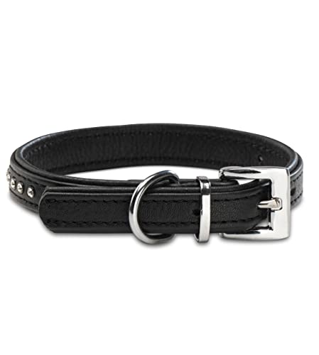 Hundehalsband aus Echt-Leder mit Strasssteinen/Kristall besetzt – funkelndes Hunde und Katzen Halsband aus gepolsterten und doppellagigen Büffelleder - Lederhalsband Audrey (M (24.5-32.5cm), Schwarz)