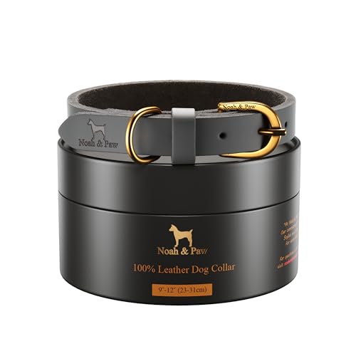 Image of NOAH & PAW Extra Small Dog and Cat Collar, Genuine Leather Dog Collar with Oil-Wax Finish, Heavy Duty Metal Buckle, Unisex Colors for Girl and Boy, Neck Size 9 inch-12 inch (Dark Blue).