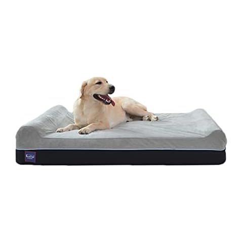 LaiFug Extra Große Orthopädische Memory Foam Pet/Hundebett, Durable Wasserdicht Liner, abnehmbare Waschbar Abdeckung Cover