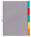 Produktbild Durable Hüllenregister A4 5-teilig, 1 Stück, transparent mit bunten Taben, 663019