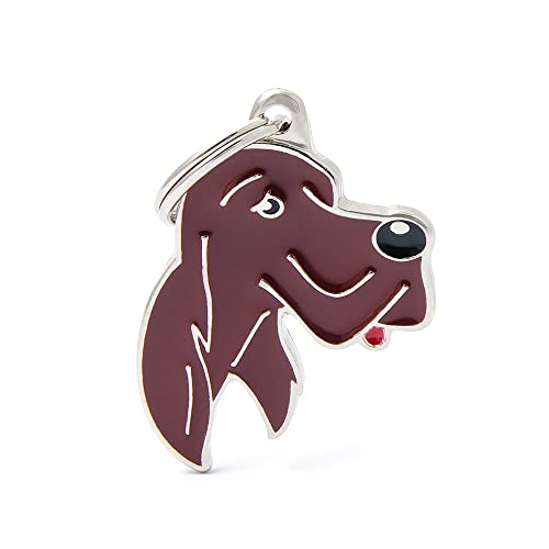 MyFamily Medaglietta per Cane Personalizzata Made