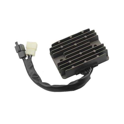 I[goCpdM[^ DL1000 V-Strom 2002-2012 DL 1000 ɓK