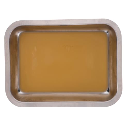 Abaodam Anatomy Tray Laboratory Storage Trays Metal Dissecting Tray Organizer Tray Metal Tray Lab Metal Dissecting Plate Labs Trays Storage Plate Medical Tray Stainless Steel Silver