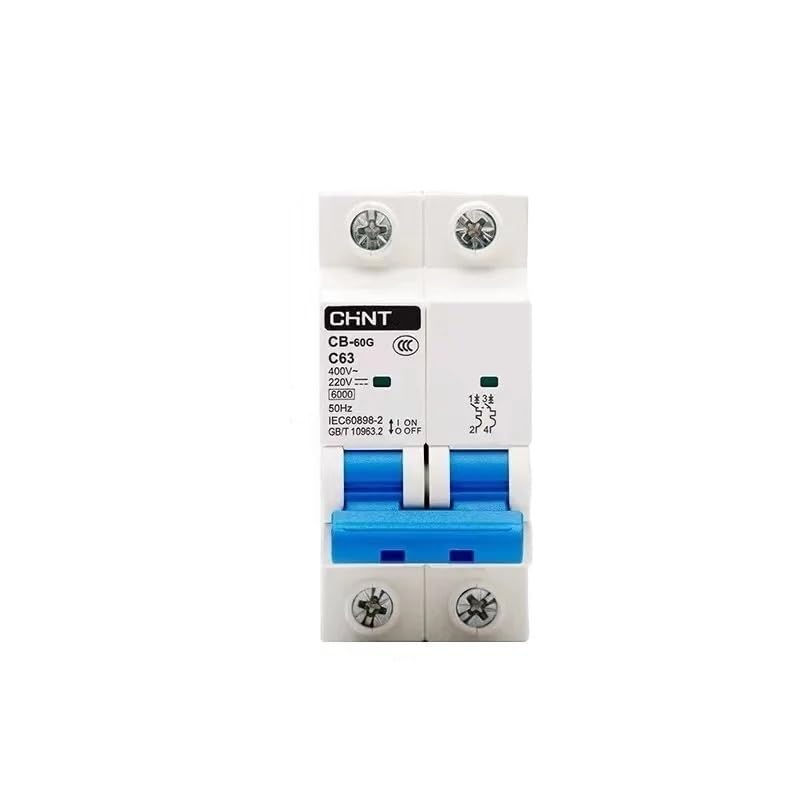 Interruttore Magnetotermico Interruttore Automatico MCB CB-125G 1P 2P 80A 100A 125A CC 60V/110V CA 230V Interruttori Automatici(2P,125A)