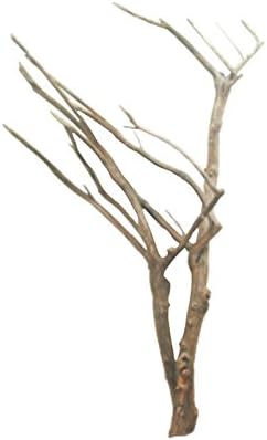 Amazon 大型株立ち幹枝流木 G170 インテリア店舗ディスプレイ園芸撮影用diy棚板ペット爬虫類用流木素材 流木アートのレットイットビー 置物 オブジェ 通販