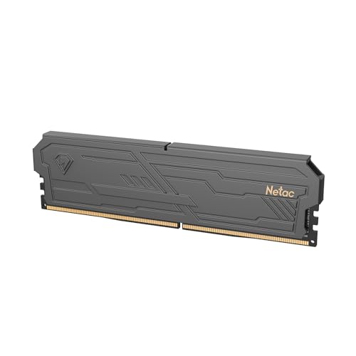 Netac Memoria RAM DDR4 8 GB 2666 MHz DDR4, CL19, memoria de juegos de 8 GB, con frigorífico, para juegos de ordenador, color negro