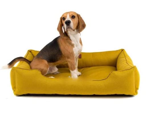 Gorgeous Dog Bed Washable Soft Reversible Dog Bed Yellow for Small | Medium | Large | Extra Large | XXL | 3XL | 4XL Size Dogs | Cats | Puppy | pet | Rabbit | Pillow (XXXL) (B0C3BL9JHH) Amazon Price History, Amazon Price Tracker