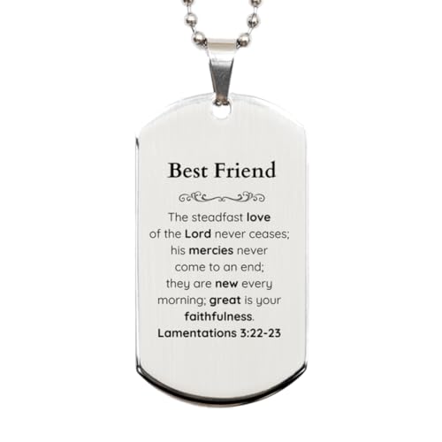 SOFEELSTORE Best Mate Lamentations 3:22-23 Silver Dog Tag Christian Scripture for Best Mate Birthday Christmas The Steadfast Love of The Lord Never ceases; his Mercies Never Come to an end.