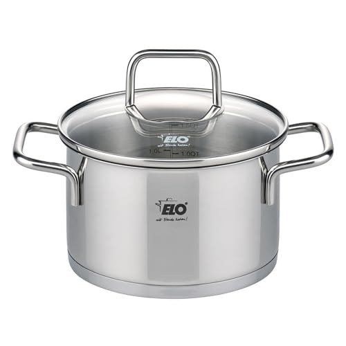 ELO Pentola in Acciaio Inox a Induzione Con Coperchio in Vetro, 20 cm