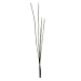 Vickerman Everyday 31