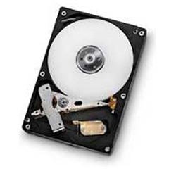 HGST Deskstar 7K1000.D Disque dur 3.5" 500 Go Série ATA III 7200 RPM