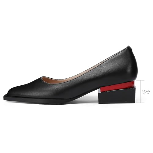 Image of LingxiaUne Dress Shoes for Women, Comfortable Dressy Flats, Womens Chunky Heel Pumps with Arch Support and Pointed Toe