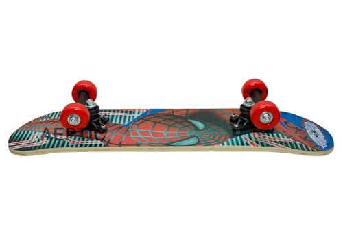 Image of Portable Skateboard, 4 Wheels Skate Boards, Mini Cruiser Skateboard, Beginners Long Board, for Kids /Adults-Multi Color (Money Heist skert)