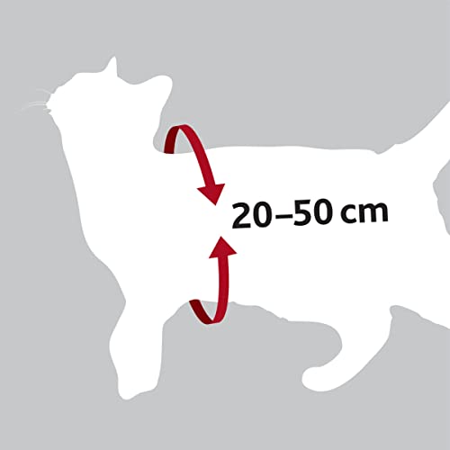 Gurt und Gürtel Sicherheit Katzen, 20 – 50 cm, Rot
