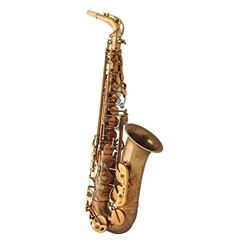 E-Flat Alto Saxophone ptH[}XO[h  ElZ S TbNX (F: CG[)