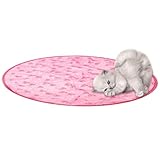 ✶Solution innovante : avec notre jouet de chasse pour chat réaliste et de pointe, votre chat aura des heures de plaisir à jouer. Votre compagnon chat sera occupé et actif avec lui. De plus, cela leur donne un moyen constructif de libérer leur énergie, les empêchant d’érafler votre canapé ou de vous déranger la nuit.