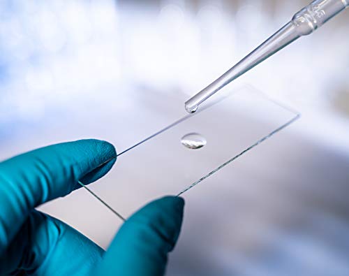 AmScope BS-50P-100S-22 Pre-Cleaned Blank Ground Edge Glass Microscope Slides and 100pc Pre-Cleaned Square Glass Cover Slips Coverslips